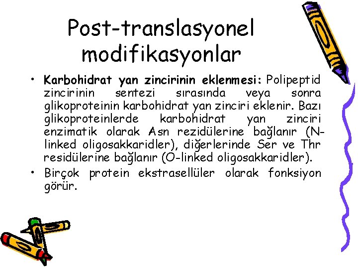 Post-translasyonel modifikasyonlar • Karbohidrat yan zincirinin eklenmesi: Polipeptid zincirinin sentezi sırasında veya sonra glikoproteinin