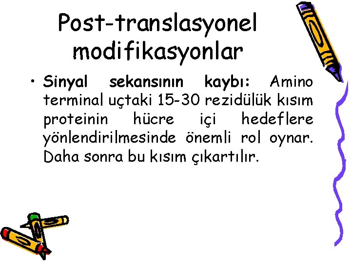 Post-translasyonel modifikasyonlar • Sinyal sekansının kaybı: Amino terminal uçtaki 15 -30 rezidülük kısım proteinin