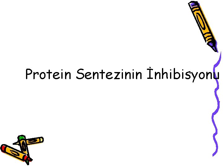 Protein Sentezinin İnhibisyonu 