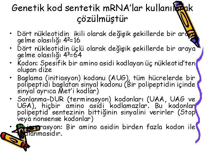 Genetik kod sentetik m. RNA’lar kullanılarak çözülmüştür • Dört nükleotidin ikili olarak değişik şekillerde