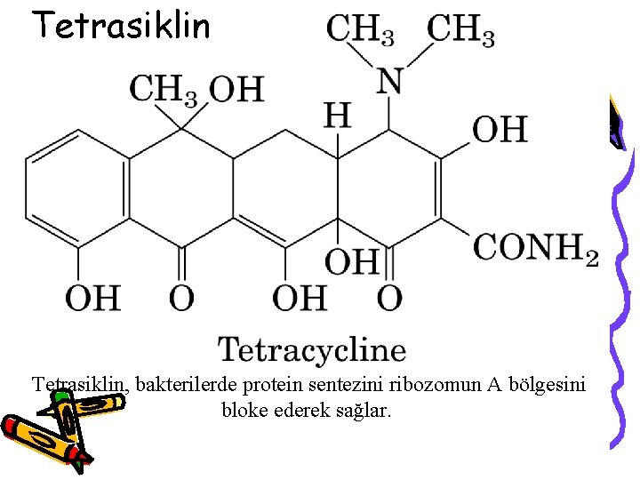 Tetrasiklin, bakterilerde protein sentezini ribozomun A bölgesini bloke ederek sağlar. 