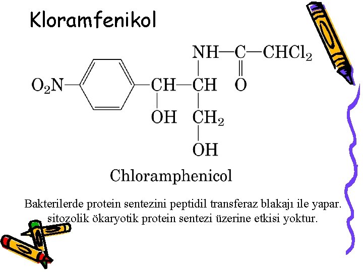 Kloramfenikol Bakterilerde protein sentezini peptidil transferaz blakajı ile yapar. sitozolik ökaryotik protein sentezi üzerine