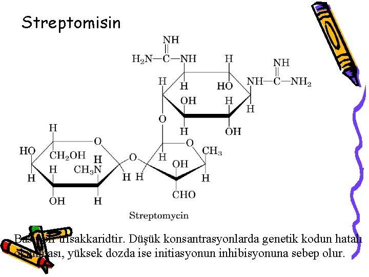 Streptomisin Basit bir trisakkaridtir. Düşük konsantrasyonlarda genetik kodun hatalı okunması, yüksek dozda ise initiasyonun