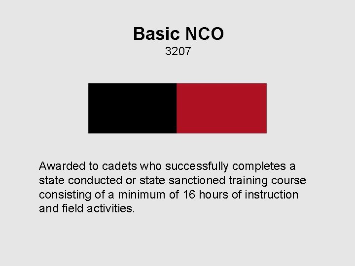 Basic NCO 3207 Awarded to cadets who successfully completes a state conducted or state