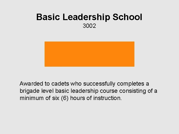 Basic Leadership School 3002 Awarded to cadets who successfully completes a brigade level basic