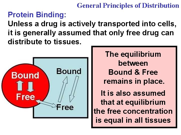General Principles of Distribution Protein Binding: Unless a drug is actively transported into cells,