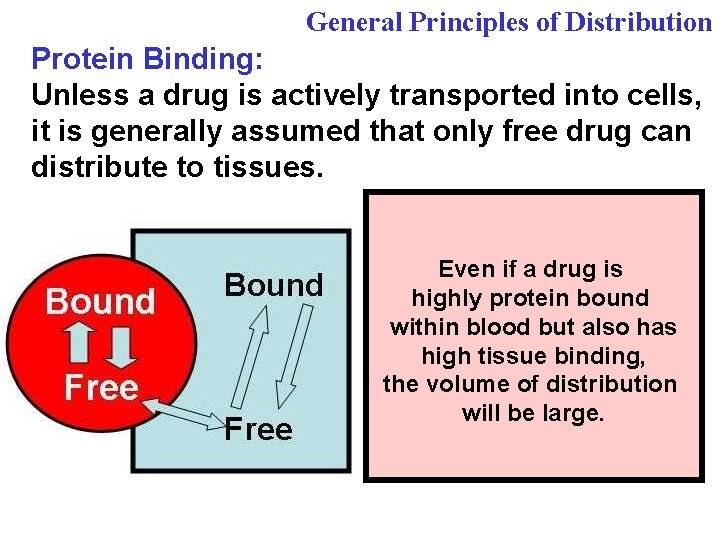 General Principles of Distribution Protein Binding: Unless a drug is actively transported into cells,