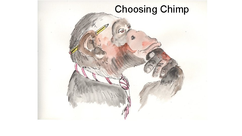 Choosing Chimp 