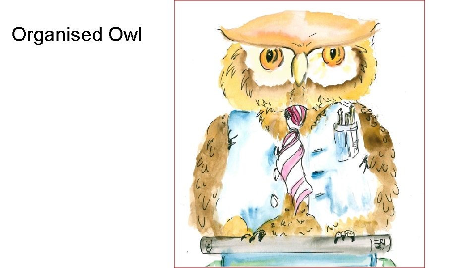 Organised Owl 
