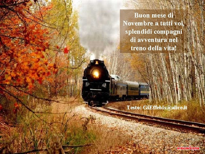 Buon mese di Novembre a tutti voi, splendidi compagni di avventura nel treno della