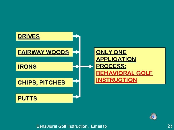 DRIVES FAIRWAY WOODS IRONS CHIPS, PITCHES ONLY ONE APPLICATION PROCESS: BEHAVIORAL GOLF INSTRUCTION PUTTS