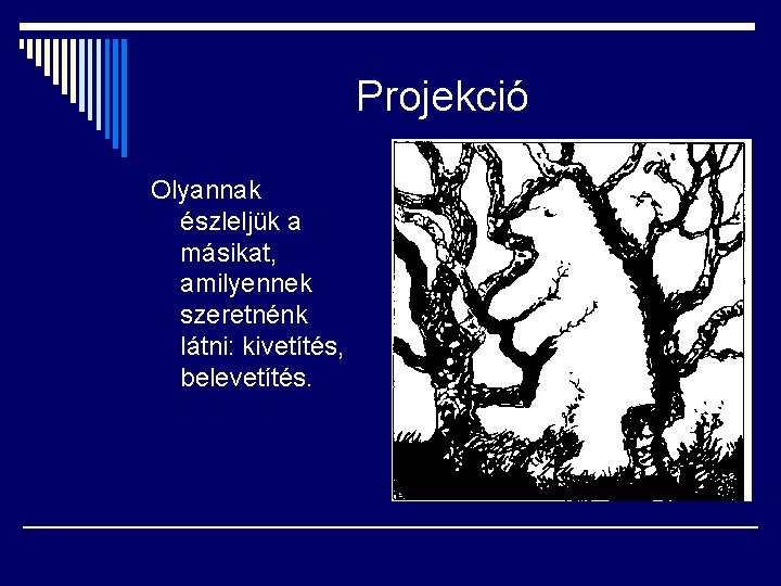 Projekció Olyannak észleljük a másikat, amilyennek szeretnénk látni: kivetítés, belevetítés. 