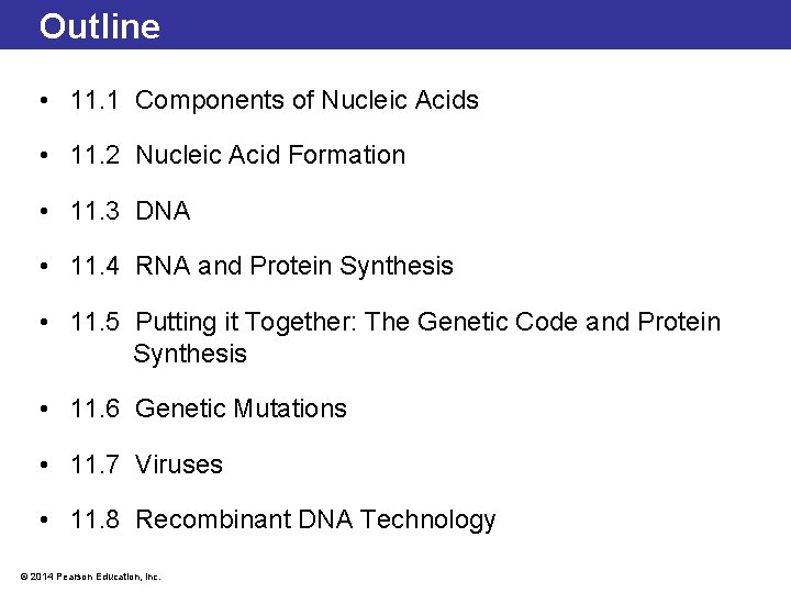 Outline • 11. 1 Components of Nucleic Acids • 11. 2 Nucleic Acid Formation