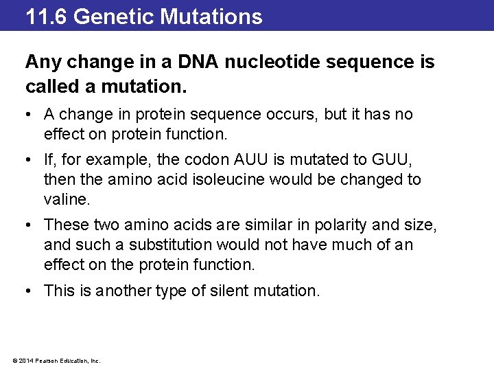 11. 6 Genetic Mutations Any change in a DNA nucleotide sequence is called a