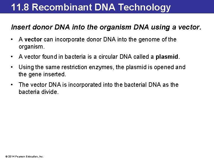 11. 8 Recombinant DNA Technology Insert donor DNA into the organism DNA using a