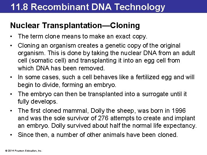 11. 8 Recombinant DNA Technology Nuclear Transplantation—Cloning • The term clone means to make