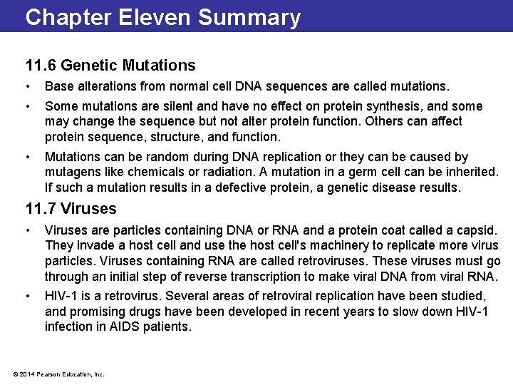 Chapter Eleven Summary 11. 6 Genetic Mutations • • Base alterations from normal cell