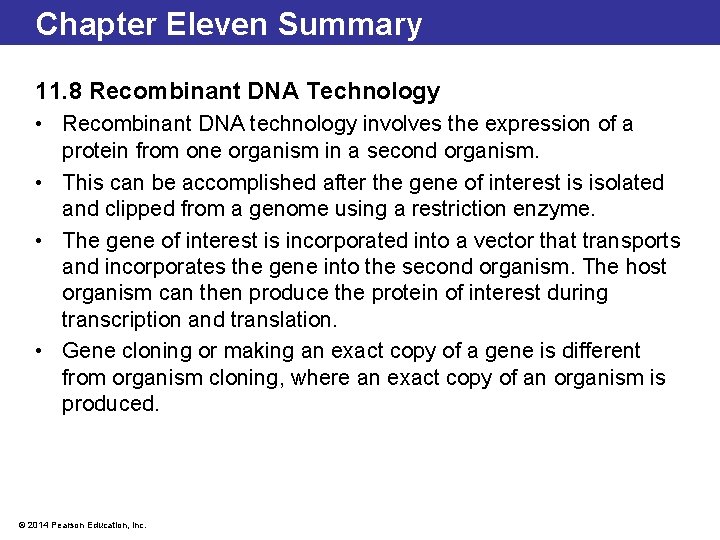 Chapter Eleven Summary 11. 8 Recombinant DNA Technology • Recombinant DNA technology involves the