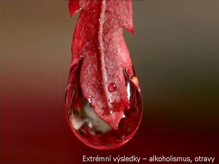 Extrémní výsledky – alkoholismus, otravy 