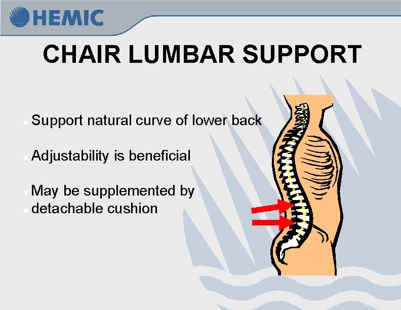 CHAIR LUMBAR SUPPORT n Support natural curve of lower back n Adjustability is beneficial