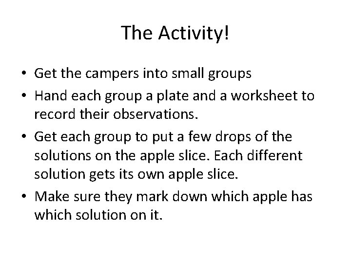 The Activity! • Get the campers into small groups • Hand each group a