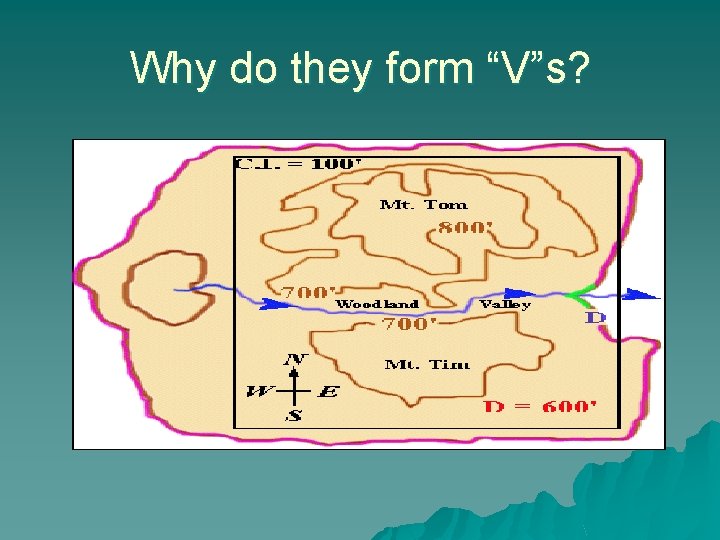 Why do they form “V”s? 