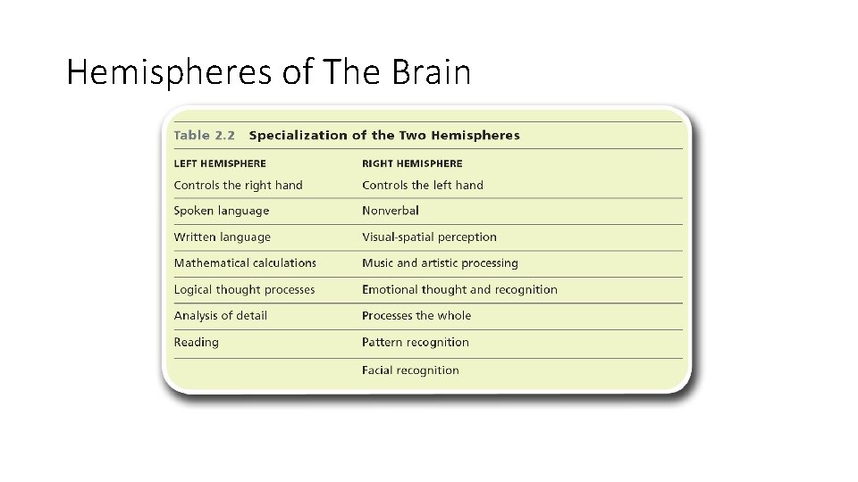Hemispheres of The Brain 