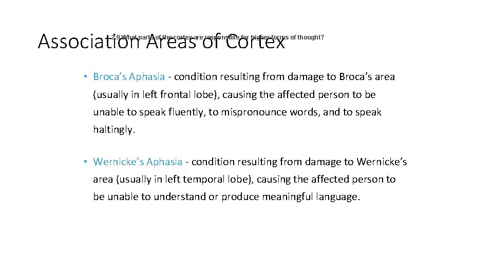 Association Areas of Cortex 2. 9 What parts of the cortex are responsible for