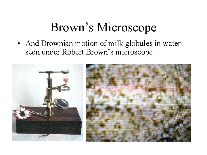 Brown’s Microscope • And Brownian motion of milk globules in water seen under Robert
