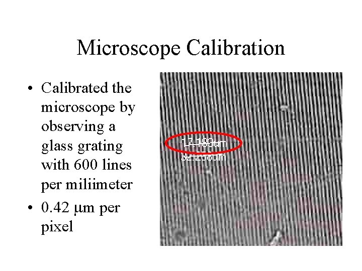 Microscope Calibration • Calibrated the microscope by observing a glass grating with 600 lines
