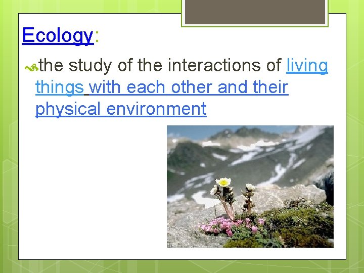 Ecology: the study of the interactions of living things with each other and their