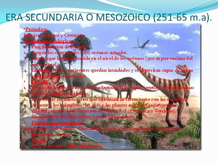 ERA SECUNDARIA O MESOZOICO (251 -65 m. a). • Periodos: Jurásico, Triásico y Cretácico.