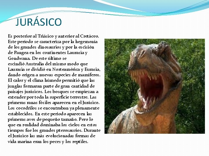 JURÁSICO Es posterior al Triásico y anterior al Cretáceo. Este período se caracteriza por