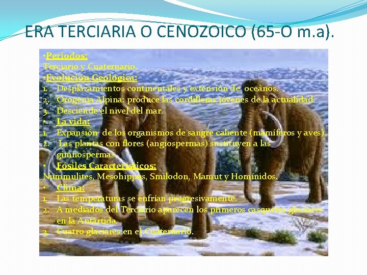 ERA TERCIARIA O CENOZOICO (65 -O m. a). • Periodos: Terciario y Cuaternario. •