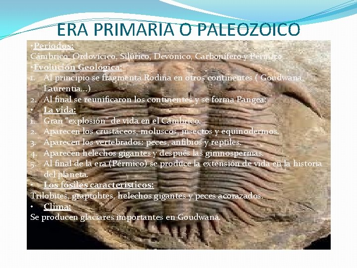 ERA PRIMARIA O PALEOZOICO • Periodos: Cámbrico, Ordovícico, Silúrico, Devónico, Carbonífero y Pérmico •
