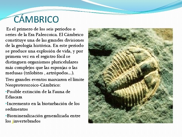 CÁMBRICO Es el primero de los seis periodos o series de la Era Paleozoica.