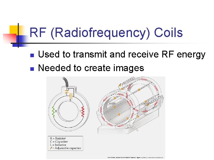 RF (Radiofrequency) Coils n n Used to transmit and receive RF energy Needed to