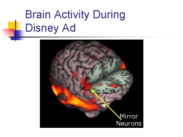 Brain Activity During Disney Ad Mirror Neurons 