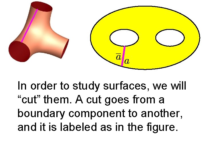 In order to study surfaces, we will “cut” them. A cut goes from a