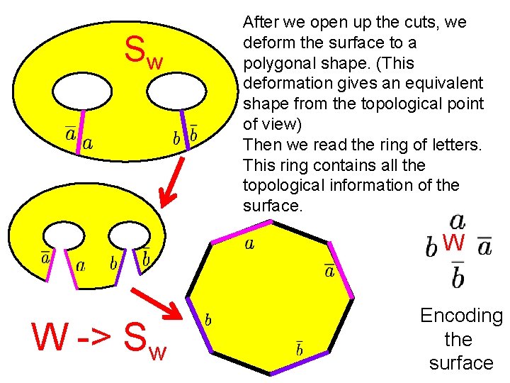 Sw After we open up the cuts, we deform the surface to a polygonal