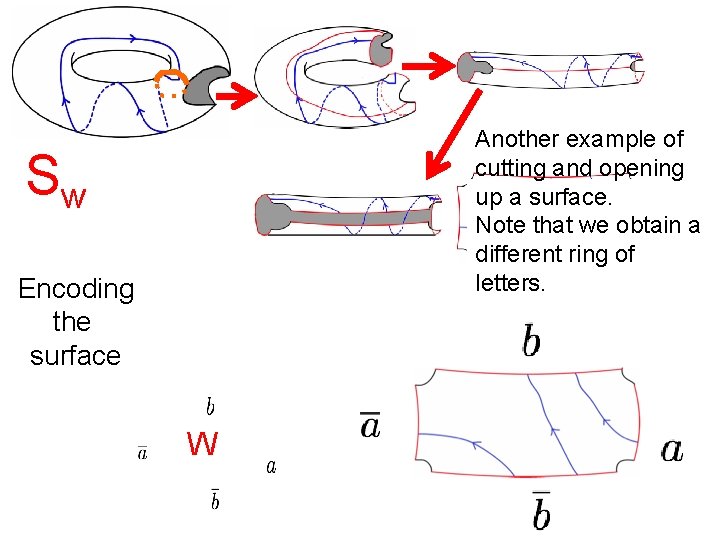 Another example of cutting and opening up a surface. Note that we obtain a