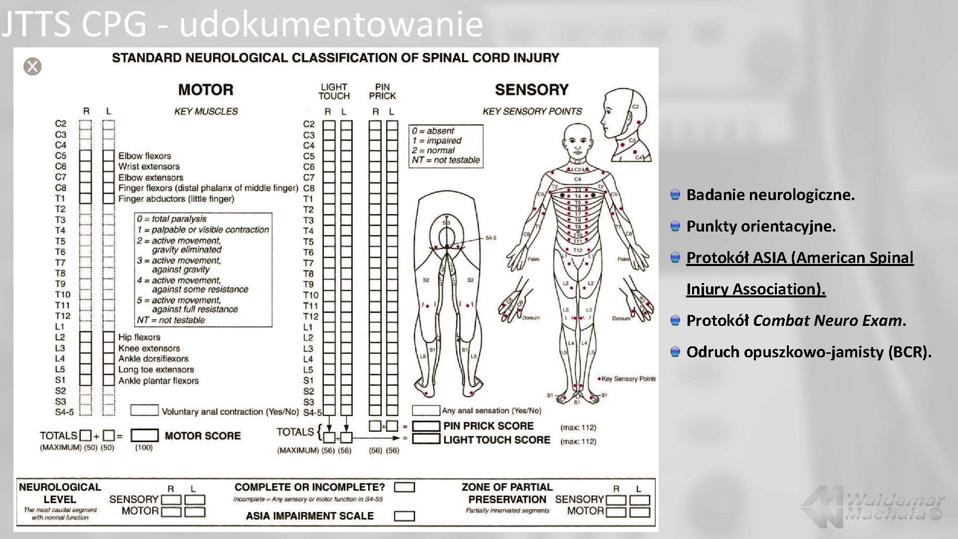 JTTS CPG - udokumentowanie Badanie neurologiczne. Punkty orientacyjne. Protokół ASIA (American Spinal Injury Association).