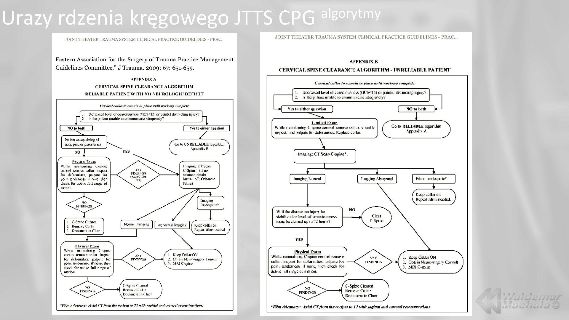 Urazy rdzenia kręgowego JTTS CPG algorytmy 