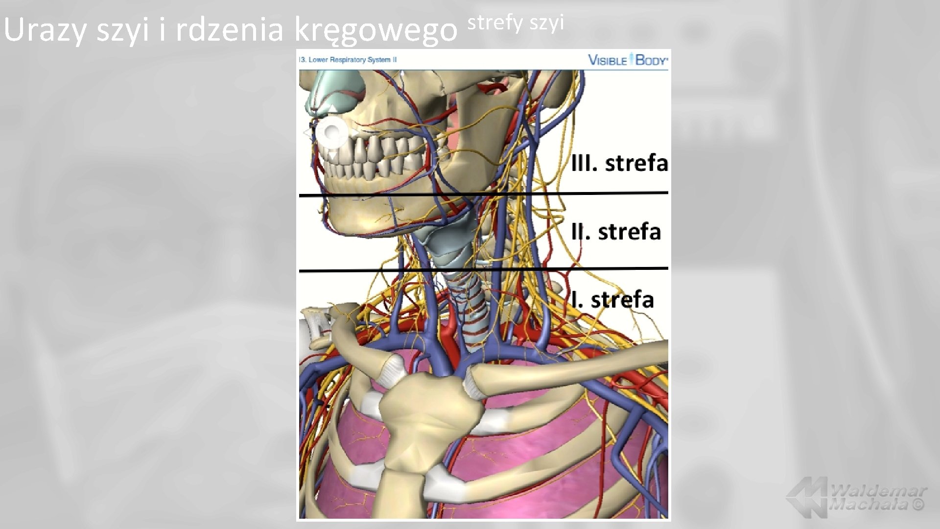 Urazy szyi i rdzenia kręgowego strefy szyi 