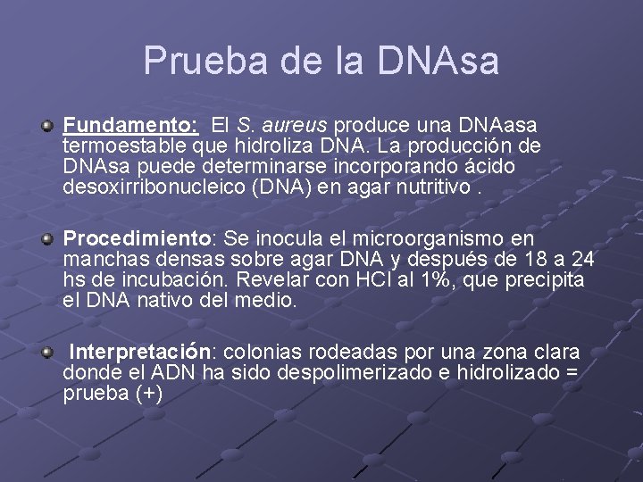 Prueba de la DNAsa Fundamento: El S. aureus produce una DNAasa termoestable que hidroliza