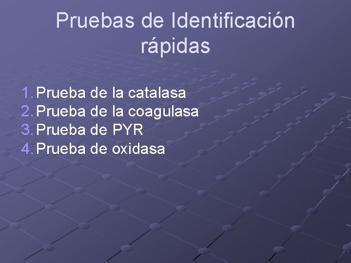 Pruebas de Identificación rápidas 1. Prueba de la catalasa 2. Prueba de la coagulasa