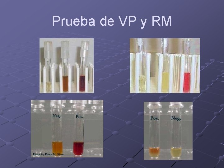 Prueba de VP y RM 