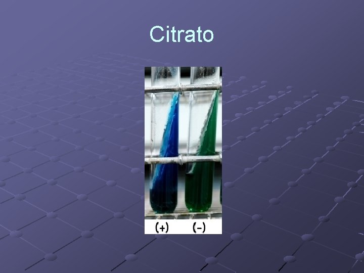 Citrato 