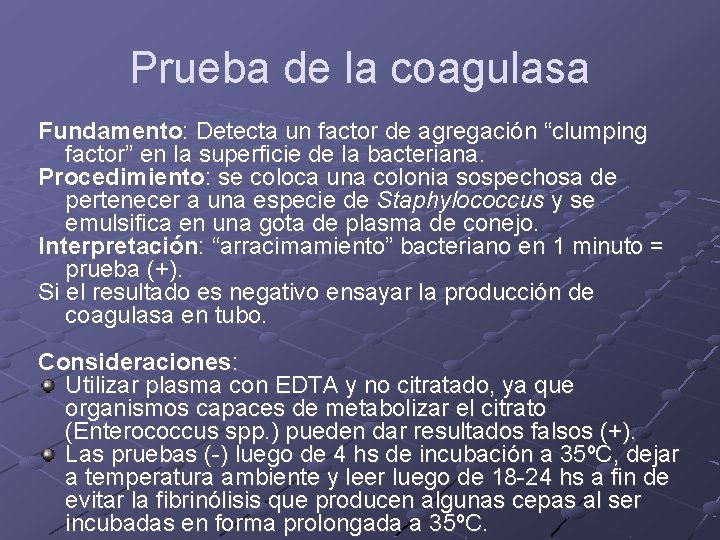 Prueba de la coagulasa Fundamento: Detecta un factor de agregación “clumping factor” en la