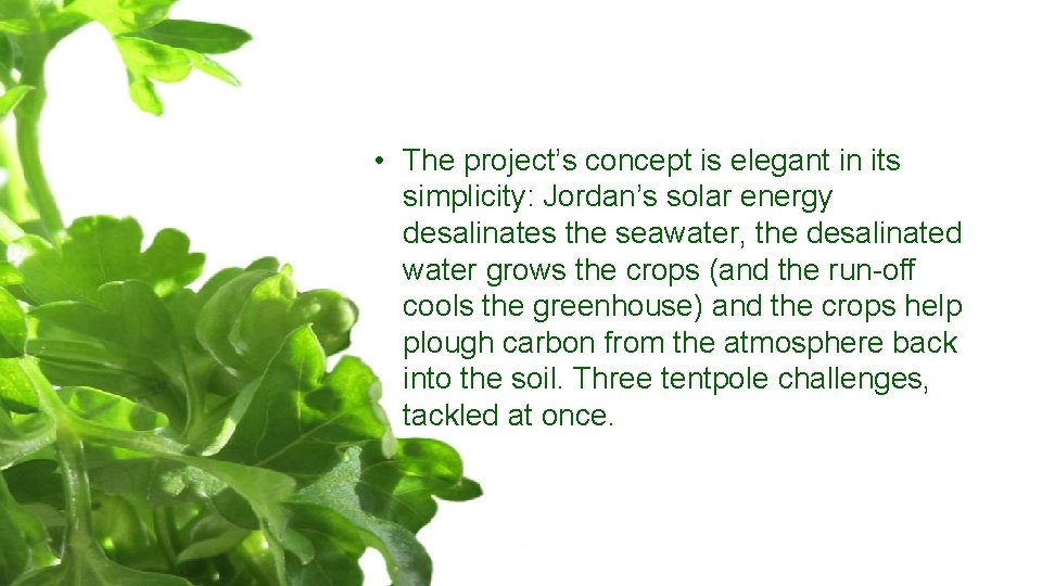  • The project’s concept is elegant in its simplicity: Jordan’s solar energy desalinates